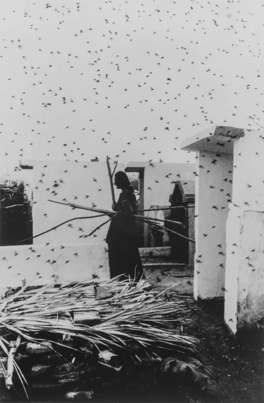 Cementerio, Juchitán by Graciela Iturbide